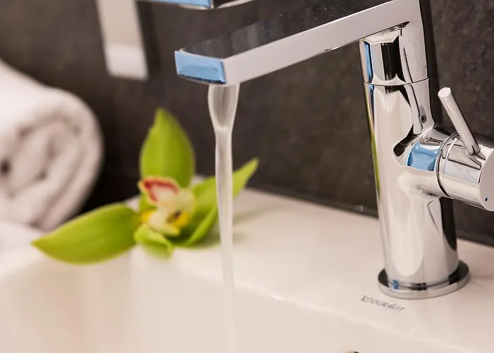 Logis First Class Business Suites 3* Реннинген